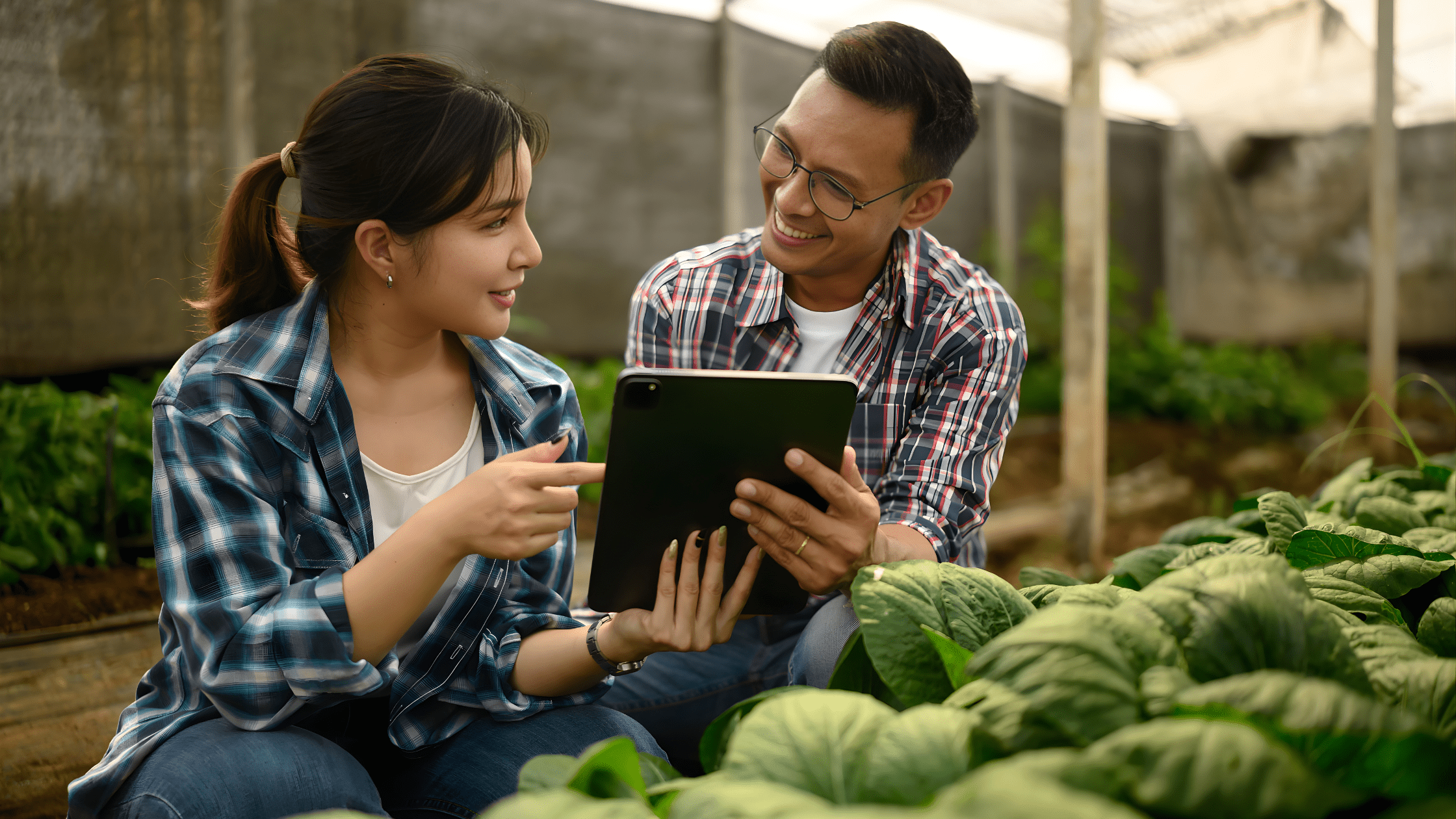 لماذا يعتبر روبوت إيفي الخيار الأفضل لمحبي النباتات؟