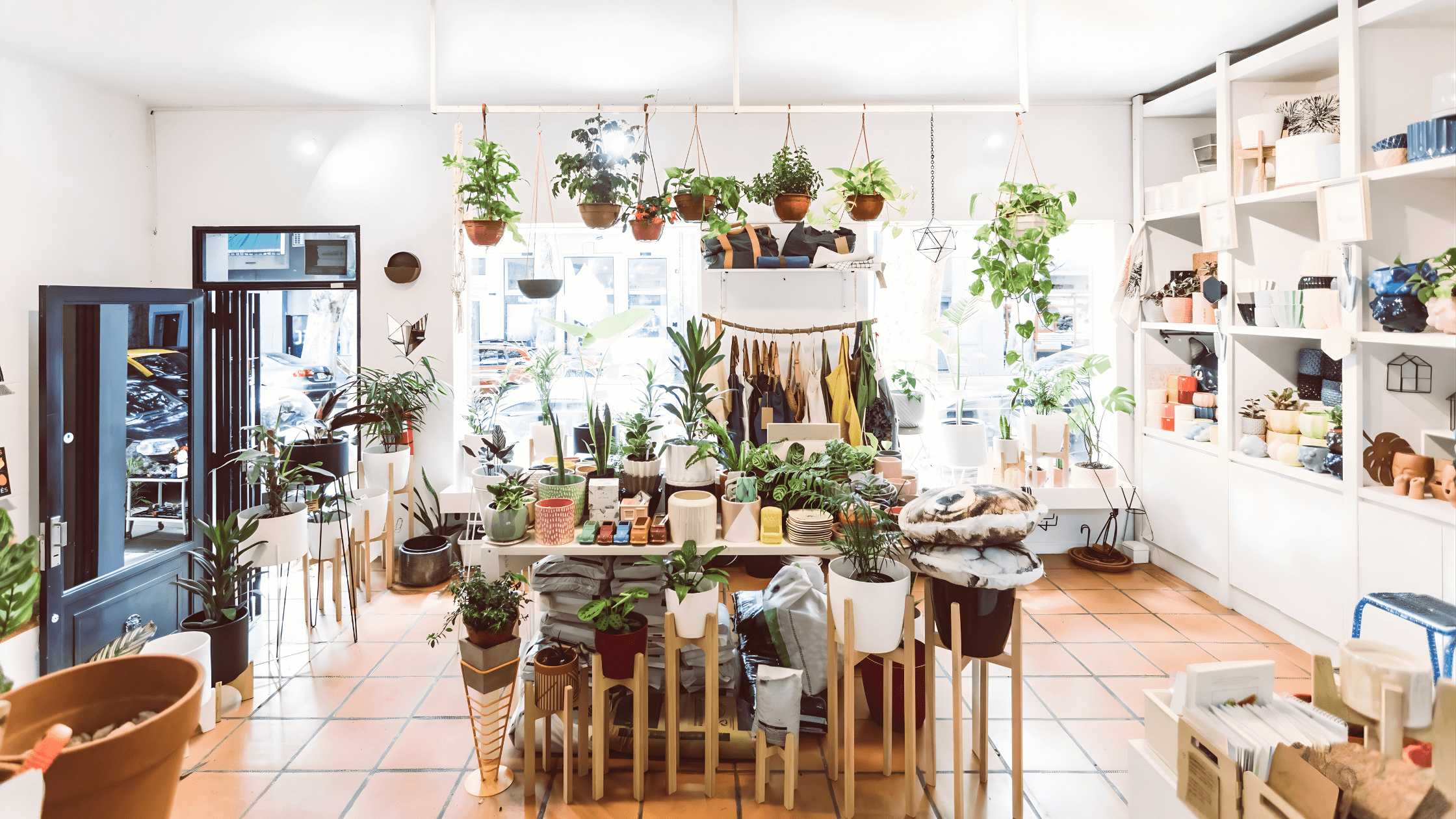 أفضل جهاز ذكي لمراقبة صحة النباتات المنزلية في 2026