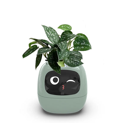 Sensors inside the smart planter monitoring the soil