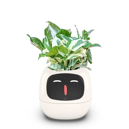 All five colours of the smart flower pot together