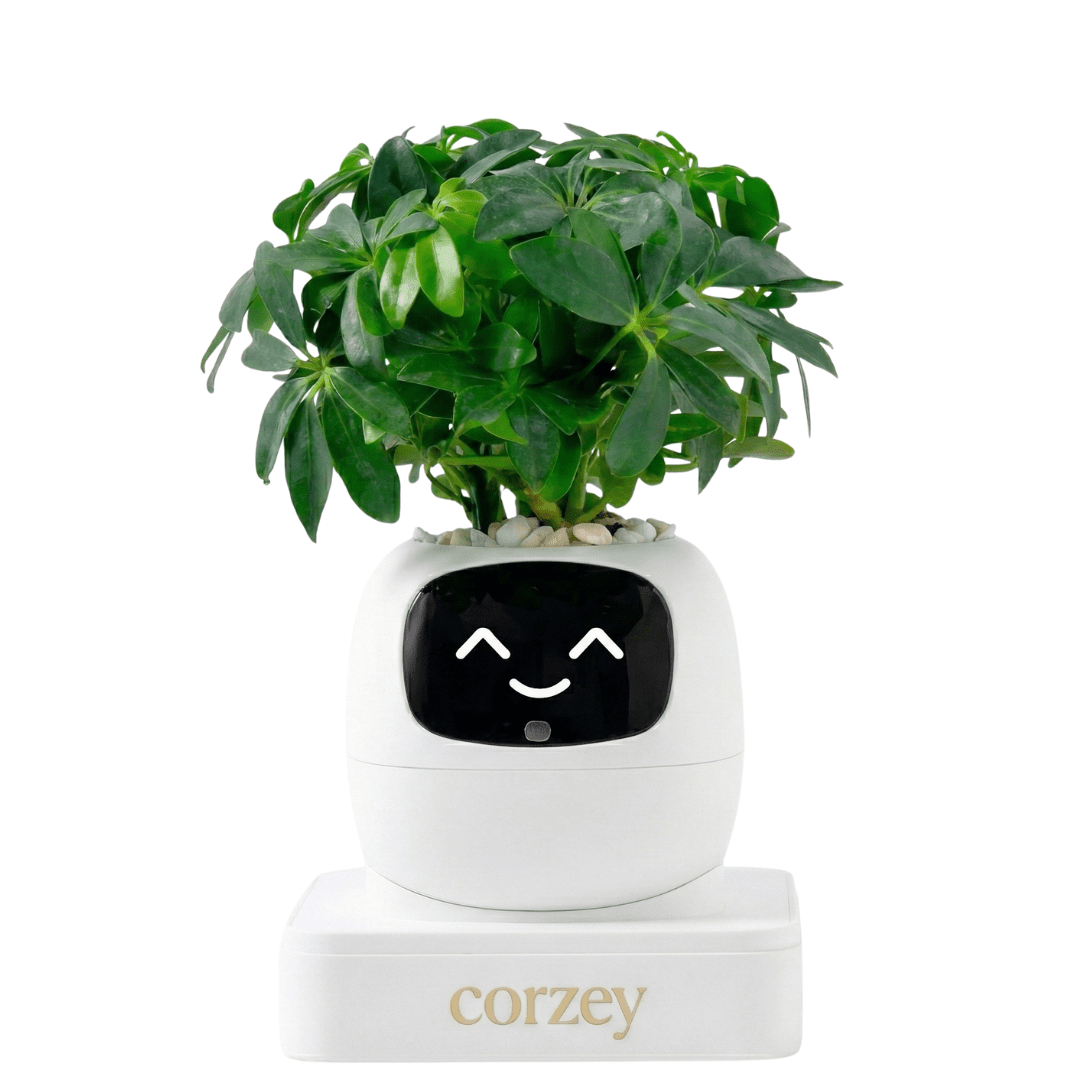 روبوت إيفي الذكي مع تفاعلات وإشعارات لمتابعة صحة النباتات Gen2