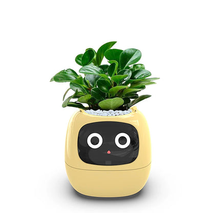 Smart flower pot with digital display on a desk