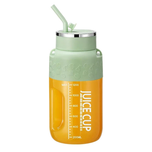 Portable rechargeable fruit juicer blender bottle