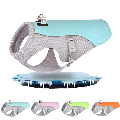 Dog wearing an evaporative summer cooling vest