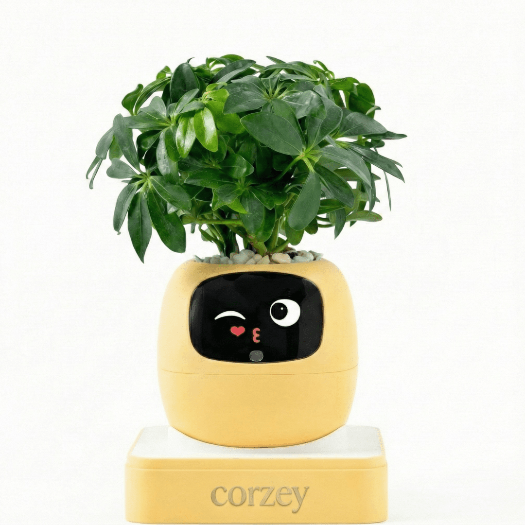 روبوت إيفي الذكي مع تفاعلات وإشعارات لمتابعة صحة النباتات Gen2