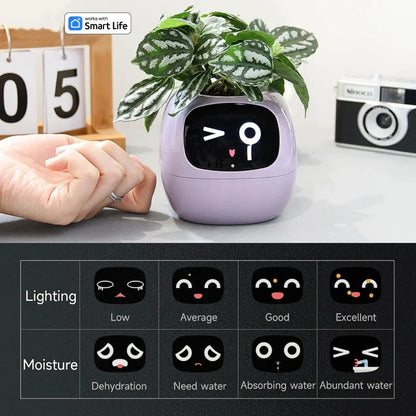 Smart flower pot displaying a photo on its front screen