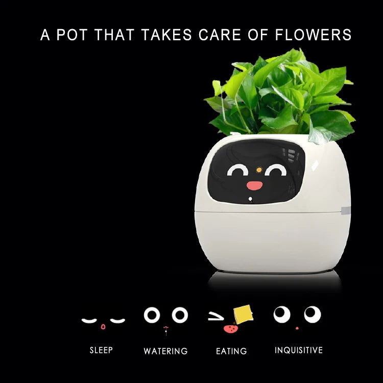 Smart flower pot shown in yellow