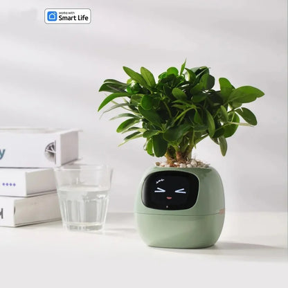 Smart flower pot shown in purple